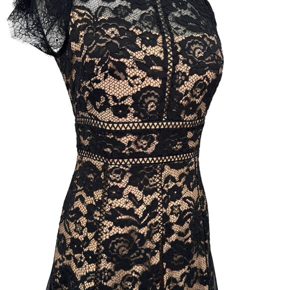 WHBM Black Cap Sleeve All Over Lace Godet Fit & Flare Dress Sz 6 Holiday NWT - Picture 11 of 17